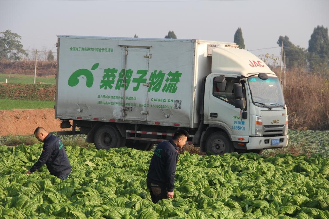 圖片3.jpg 圖片3.jpg